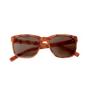 Fetch Taylor Amber Tortoise Readers Sunglasses